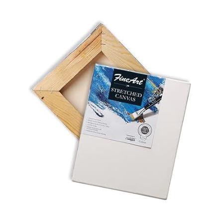 Fine Art 20 X 24 Inch Stretched Canvas Back Fold Cotton Fine Grain Stretched Canvas Board (Set of 1) (White)