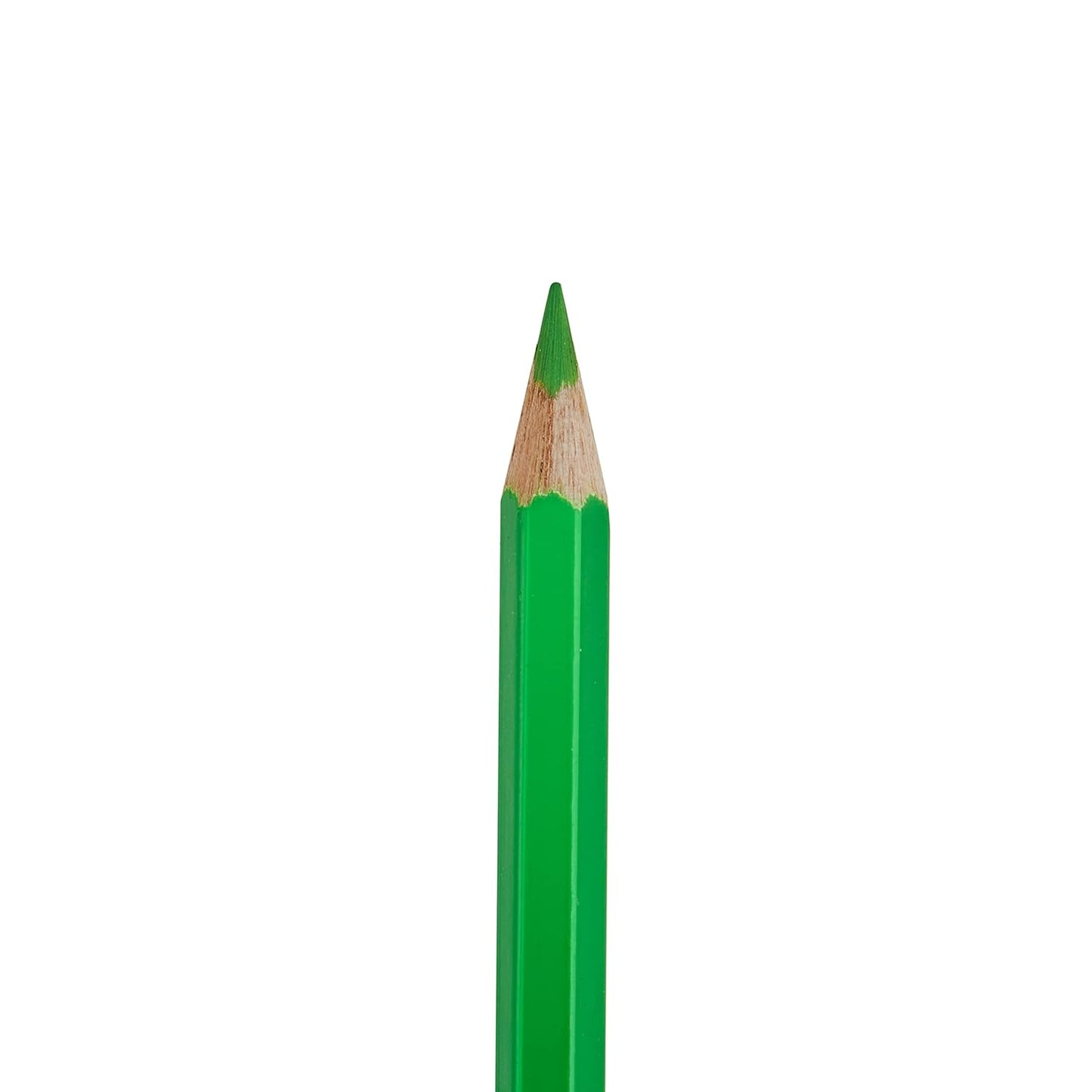 Camlin Colour Pencils- Assorted 12 Shades with Sharpener, Full Size