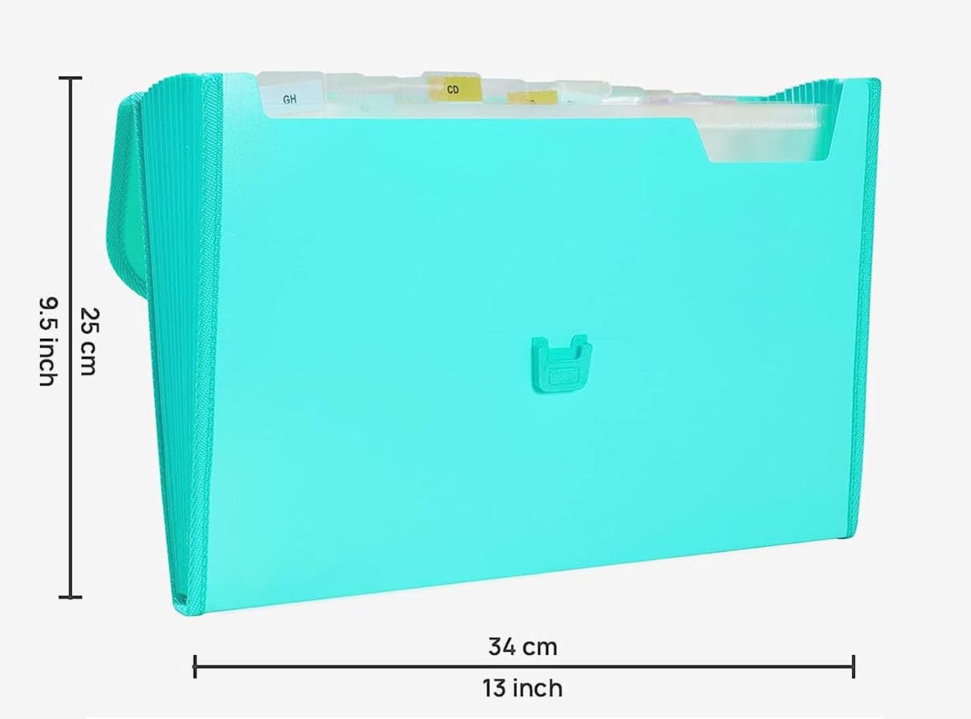 Kiya PP Expanding File Folder with Handle (900-MULTICOLOR)