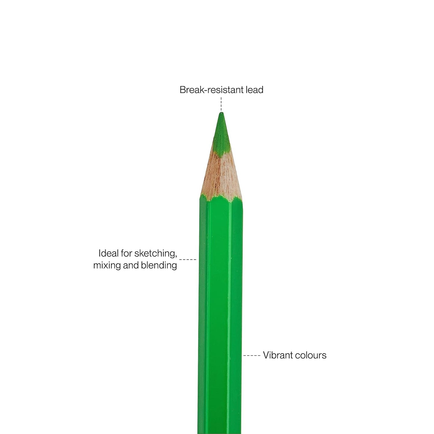Camlin Colour Pencils- Assorted 12 Shades with Sharpener, Full Size
