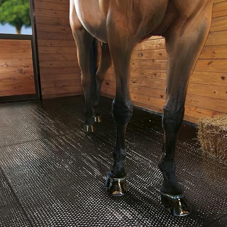 DIVAYANSHI Animal Feeding Waterproof mat 92×56 INCH and 15 mm Thickness, Wt. 5 KGS BPA Free for Horse, Cow, Buffalo and Bull Easy to Clean (ASL)