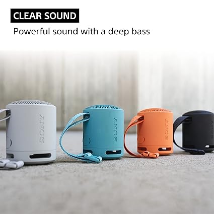 Sony Srs-Xb100 Wireless Bluetooth Portable Lightweight Super-Compact Travel Speaker,Extra-Durable Ip67 Waterproof & Dustproof,16 Hrs Batt,Versatile Strap,Extra Bass & Hands-Free Calling-Blue