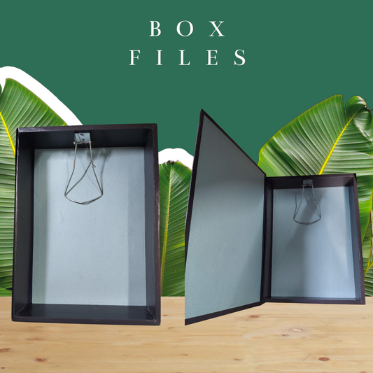 BOX FILES PVC PO1  File Folder for A4, Legal, Letter Size, Office Document, Certificates, Assignment, Office, School and Colleges