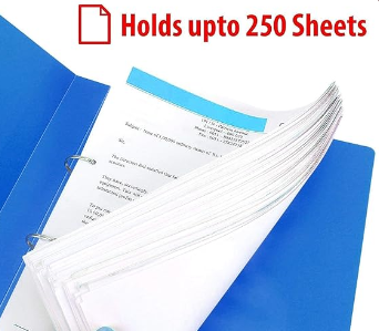 KIYA Display File 40 Book File Folder Leaf A4 Size Multicolor (Pack of 12 Pcs)