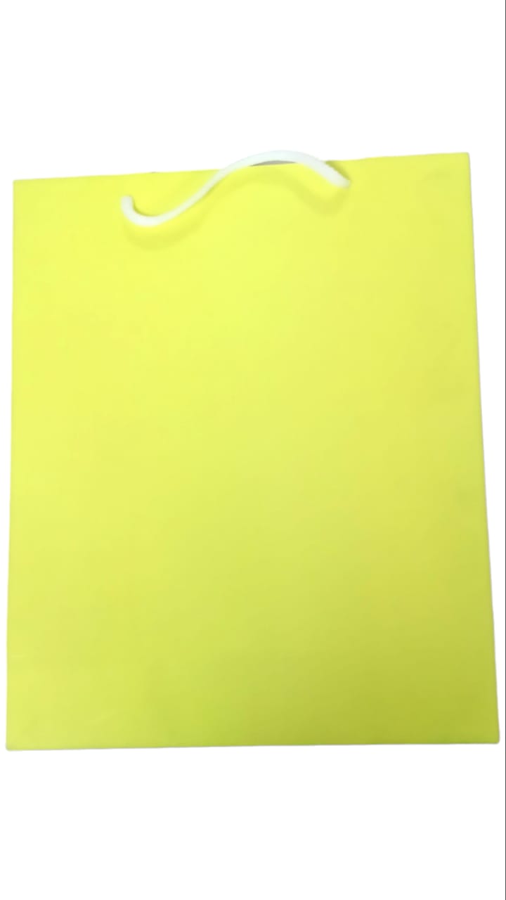DIGISMART* Paper Bags for Return Gifts - Paper Gift Bag - Medium Carry Bags for Gifting - Paper Bags - Medium Paper Bags -Goodie Bags with Tissue and Thank You Card - Gift Covers