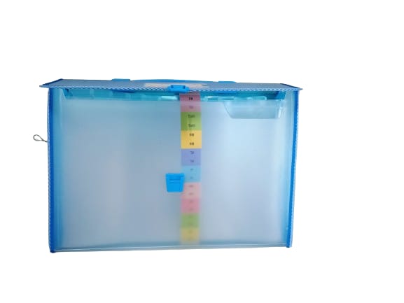 Size, Expanding File Folder, Accordion Document/Letter A4 Size File Organizer with Handle and (Pack-Of-1) (700-MULTICOLOR)