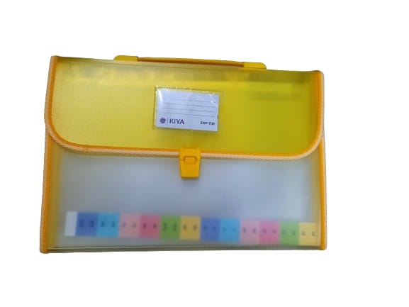 Size, Expanding File Folder, Accordion Document/Letter A4 Size File Organizer with Handle and (Pack-Of-1) (700-MULTICOLOR)