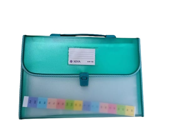 Size, Expanding File Folder, Accordion Document/Letter A4 Size File Organizer with Handle and (Pack-Of-1) (700-MULTICOLOR)