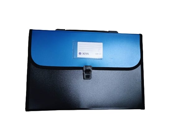 Size, Expanding File Folder, Accordion Document/Letter A4 Size File Organizer with Handle and (Pack-Of-1) (800-MULTICOLOR)
