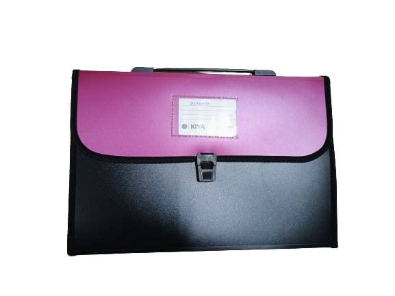 Size, Expanding File Folder, Accordion Document/Letter A4 Size File Organizer with Handle and (Pack-Of-1) (800-MULTICOLOR)