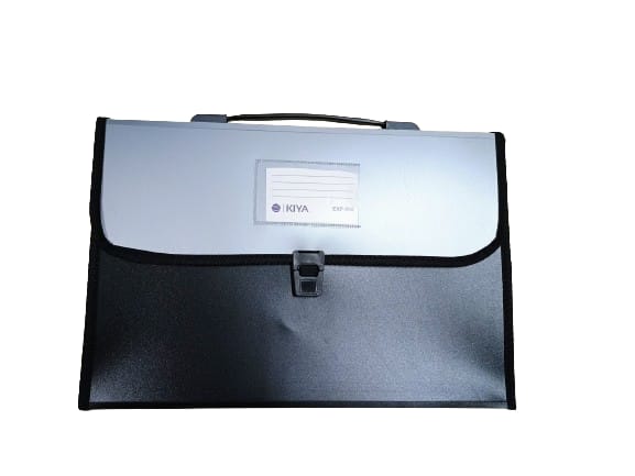 Size, Expanding File Folder, Accordion Document/Letter A4 Size File Organizer with Handle and (Pack-Of-1) (800-MULTICOLOR)