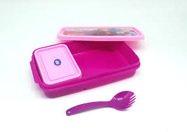 SKI CRISPY SMALL LUNCH BOX 1 Containers Lunch Box (600 ml)