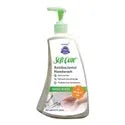 Diversey Soft Care Anti Bacterial HandWash 250ml - Scoffco