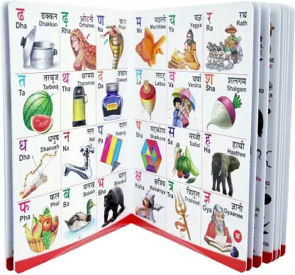 My First Board Book Of All-In-One - Board Books For Children English-Hindi