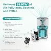 Eureka Forbes 270 Air Purifier for Home |True HEPA H13 Filter & Real-time AQI Indicator |1.5-2 Yrs Filter Life* | Removes 99.97% PM2.5, Dust, Allergens, Bacteria & Pollen| Covers up to 365 Sq.Ft