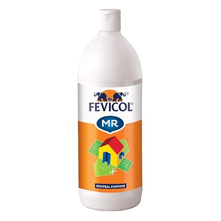 FEVICOL 1KG