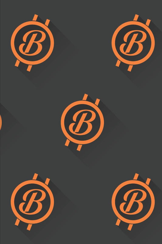 Bitcoin Notebook: Small Crypto Currency Btc Notebook 6 X 9