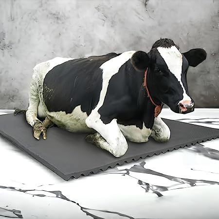 DIVAYANSHI Animal Feeding Waterproof mat 92×56 INCH and 15 mm Thickness, Wt. 5 KGS BPA Free for Horse, Cow, Buffalo and Bull Easy to Clean (ASL)