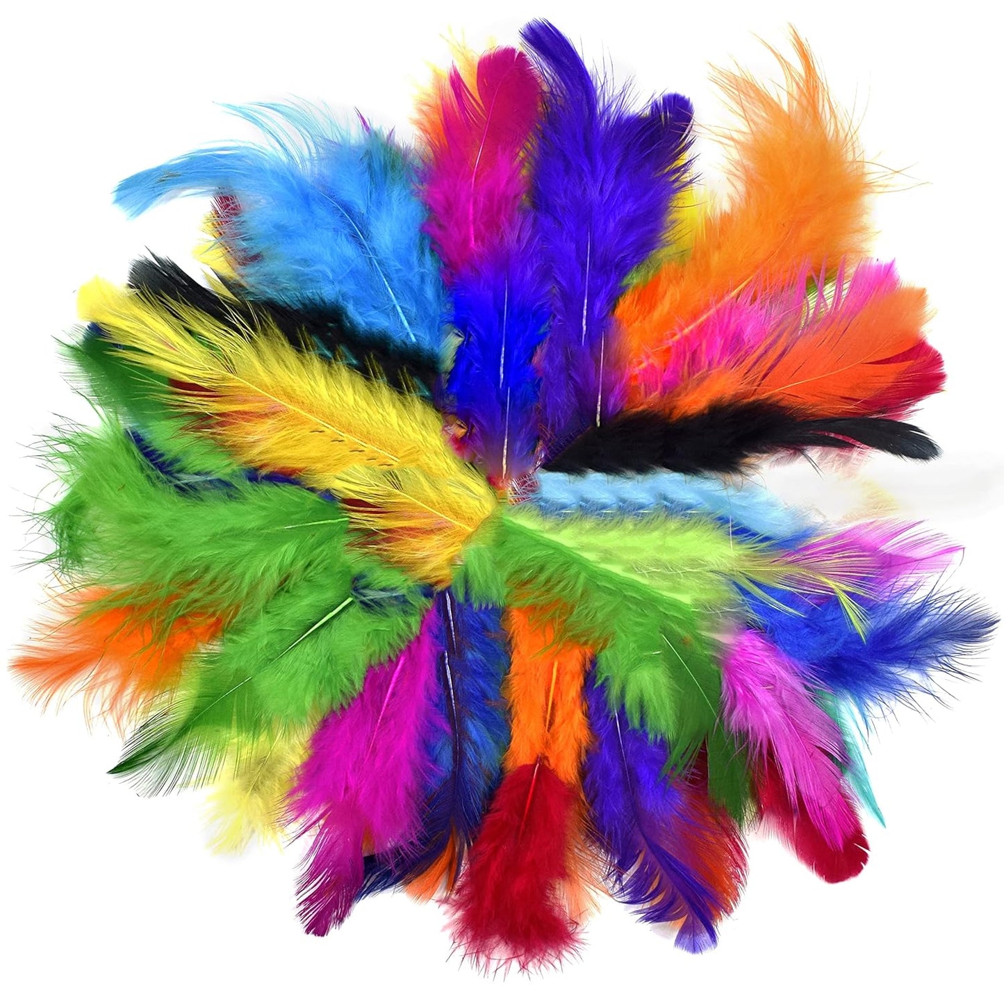 Craft N Creation No-65 FEATHER Multicolor Dyed Feathers for Art and Craft, Scrape Booking, Decoration Etc [Pack of 12]