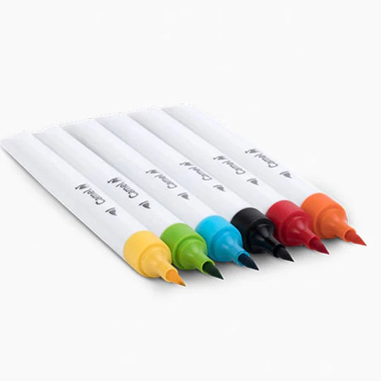 Camlin Fine Point Brush Pen (6, Multicolor)